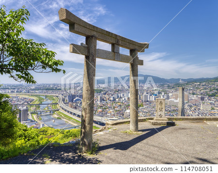 Torii gate at the observation deck and cityscape 114708051