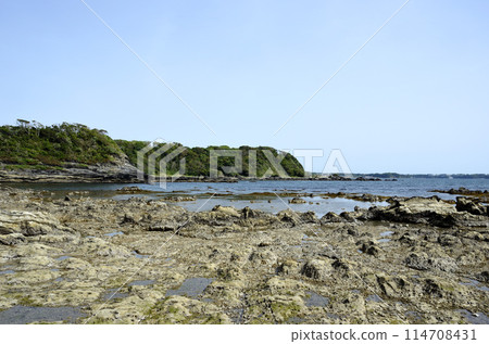 Rocky shore 114708431