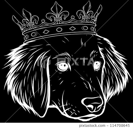 head dog in white line on black background head dog in white line on black background 114708645