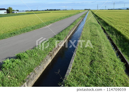 農地道路、農業水道 田園風光 農地道路、農業水道 田園風光 114709039