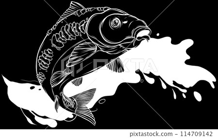 Carp in white line on black background 114709142