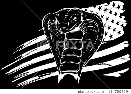 cobra snake head in white line on black background cobra snake head in white line on black background 114709229
