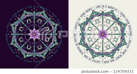 Circular ornament like mandala with chamomile flower, fantasy colored dragonfly with curled antennae in Art Nouveau style. Text with inspirational short phrases. Vintage style. 114709331
