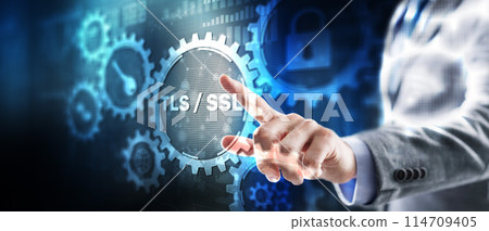 Transport Layer Security. Secure Socket Layer. TLS SSL. Mixed Media 114709405