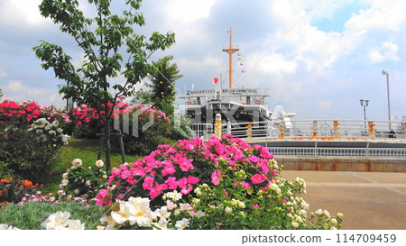 Port View Hill公園的玫瑰園,可眺望冰河丸的風景 Port View Hill公園的玫瑰園,可眺望冰河丸的風景 114709459