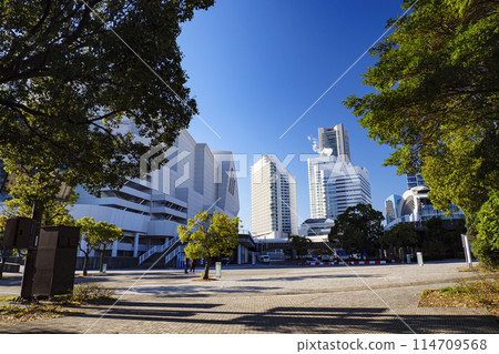 Late autumn and winter at Minato Mirai Waterfront Park in Yokohama, Kanagawa Prefecture 114709568