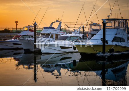 Morning at Oarai Marina, Ibaraki Prefecture 114709999