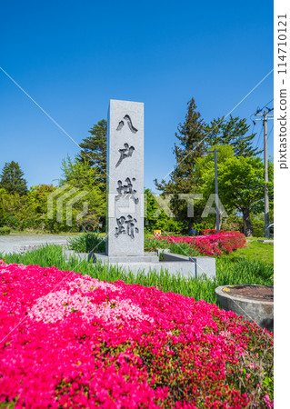「青森郡」八戶城遺址石碑(三八城公園/八戶市丸) 「青森郡」八戶城遺址石碑(三八城公園/八戶市丸) 114710121