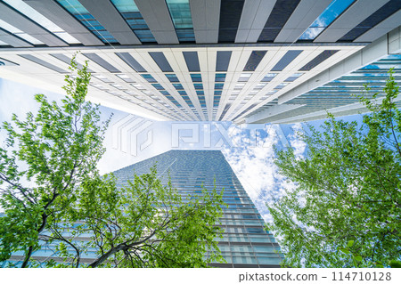 仰望埼玉縣埼玉新都市區的建築物 114710128