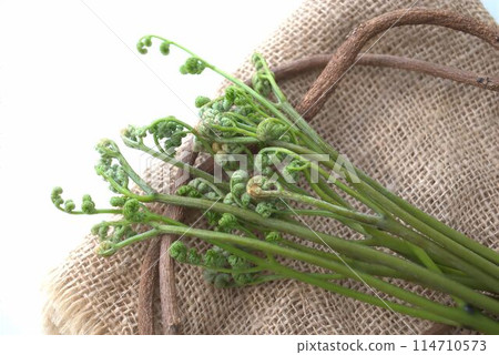 剛採摘下來的野菜 剛採摘下來的野菜 114710573