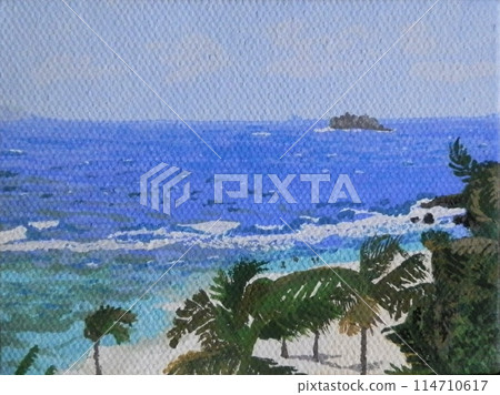 Atlantic coastline of St. Maarten 114710617