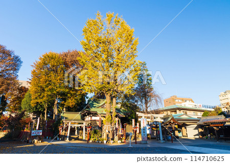 小江戶川越的秋天：紅葉的川越八幡宮 114710625