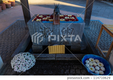 Autumn in Koedo Kawagoe: Autumn leaves at Kawagoe Hachimangu Shrine 114710629