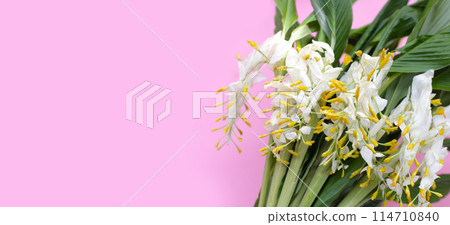 White yellow globba flower bouquet 114710840