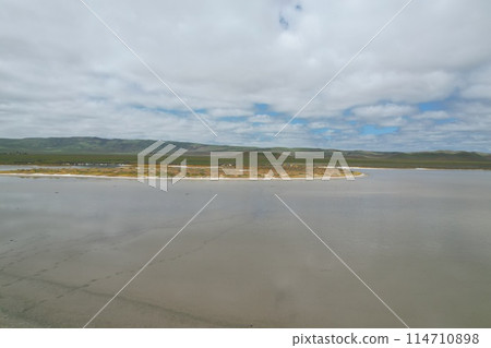 Wildflowers at Carrizo Plain National Monument and Soda lake 114710898