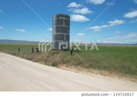 Wildflowers around water tank, at Carrizo Plain National Monument and Soda lake 114710917