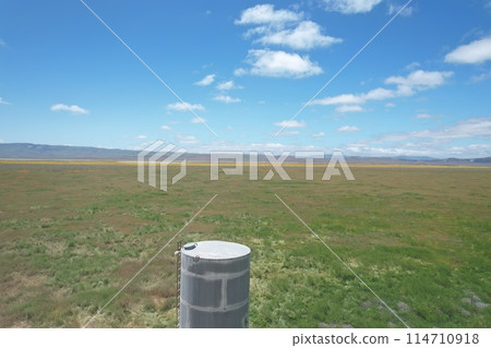Wildflowers around water tank, at Carrizo Plain National Monument and Soda lake Wildflowers around water tank, at Carrizo Plain National Monument and Soda lake 114710918