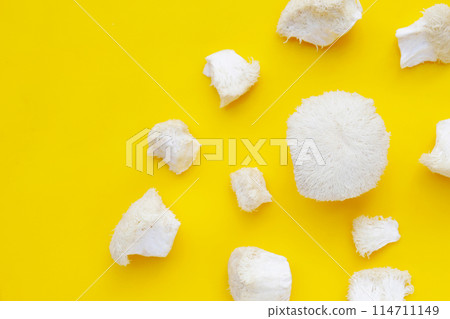 Fresh lion's mane mushroom on yellow background. (Yamabushitake Mushroom) 114711149
