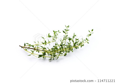 Fresh thyme on white background. Fresh thyme on white background. 114711221