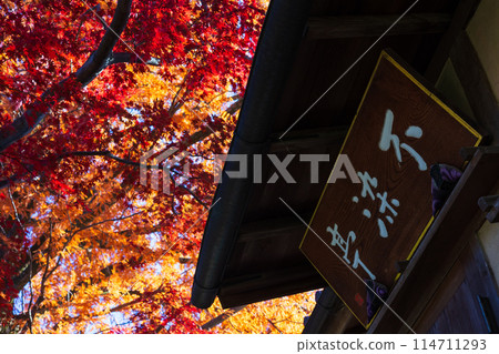 小江戶川越的秋葉 中音風亭 小江戶川越的秋葉 中音風亭 114711293