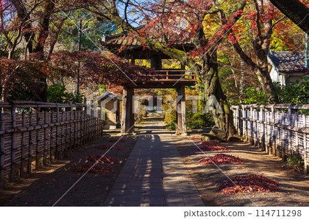 Koedo Kawagoe Autumn Leaves Nakain Bell Tower Gate Koedo Kawagoe Autumn Leaves Nakain Bell Tower Gate 114711298