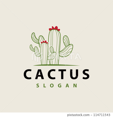 Cactus logo vector desert green plant design elegant style symbol Icon Illustration 114711543