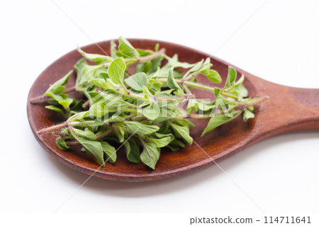 Fresh oregano on white background. Fresh oregano on white background. 114711641