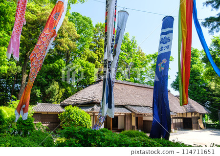 茅草屋頂和鯉魚旗 茅草屋頂和鯉魚旗 114711651