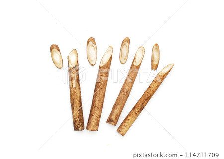 Burdock Root (Gobo) on white background. 114711709