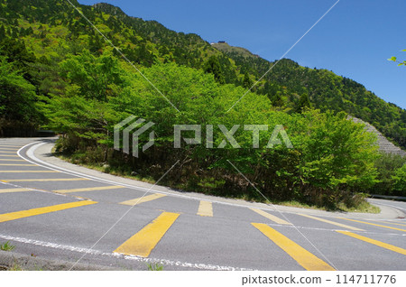 鮮綠色的鈴鹿天際線《竹平嶺附近的髮夾彎》 114711776