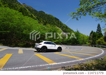 Suzuka Skyline with fresh green leaves {Hairpin curve near Takehira Pass} Suzuka Skyline with fresh green leaves {Hairpin curve near Takehira Pass} 114711779