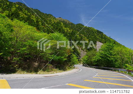 Suzuka Skyline with fresh green leaves {Hairpin curve near Takehira Pass} 114711782