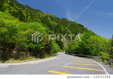 Suzuka Skyline with fresh green leaves {Hairpin curve near Takehira Pass} 114711783