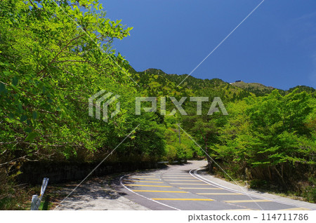 Suzuka Skyline with fresh green leaves {Hairpin curve near Takehira Pass} 114711786
