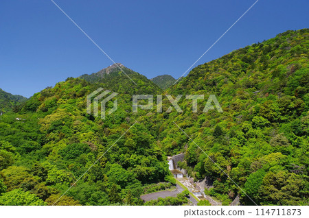 A view of the vibrant greenery at the foot of Mt. Gozaisho (view from Yunoyama Kamoshika Bridge) 114711873