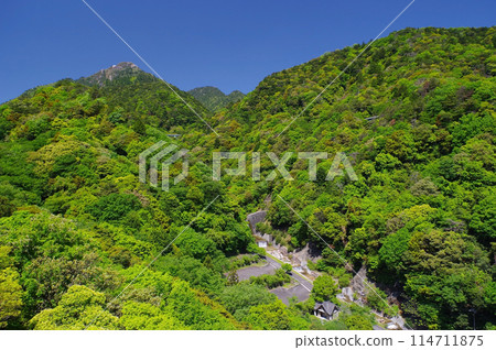 A view of the vibrant greenery at the foot of Mt. Gozaisho (view from Yunoyama Kamoshika Bridge) 114711875