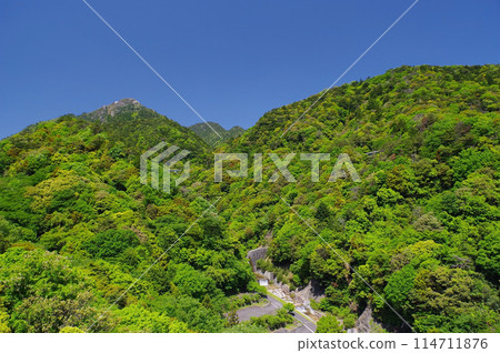 A view of the vibrant greenery at the foot of Mt. Gozaisho (view from Yunoyama Kamoshika Bridge) 114711876