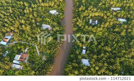 Beautiful aerial view of Mekong Delta countryside, coconut land with vast coconut, nipa palm jungle, riverside house and waterway transport good for Vietnam ecotourism at Ben Tre 114712021