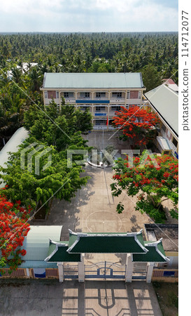 Amazing landscape of Mekong Delta village, school campus with red phoenix flowers tree bloom vibrant, highschool among coconut forest, flamboyant is symbol of summer and begin summertime vacation Amazing landscape of Mekong Delta village, school campus with red phoenix flowers tree bloom vibrant, highschool among coconut forest, flamboyant is symbol of summer and begin summertime vacation 114712077
