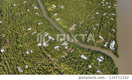 Amazing aerial view of Mekong Delta, vast coconut, palm, nipa tree field, irrigation system by canal with many river branch, water source for agriculture and waterway transport with cheap Amazing aerial view of Mekong Delta, vast coconut, palm, nipa tree field, irrigation system by canal with many river branch, water source for agriculture and waterway transport with cheap 114712102