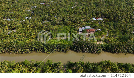 Amazing aerial view from drone of Mekong Delta countryside, vast coconut field along canal, green palm trees and nipa plant with river make natural jungle of Vietnamese village for BenTre eco travel 114712104