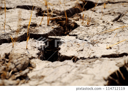 Close up dried up, mud cracks by drought, climate change by global warming, surface of rice field arid in dry dry hot season at Mekong Delta, Viet Nam Close up dried up, mud cracks by drought, climate change by global warming, surface of rice field arid in dry dry hot season at Mekong Delta, Viet Nam 114712119