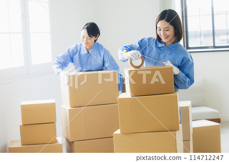 Moving and packing service image 114712247