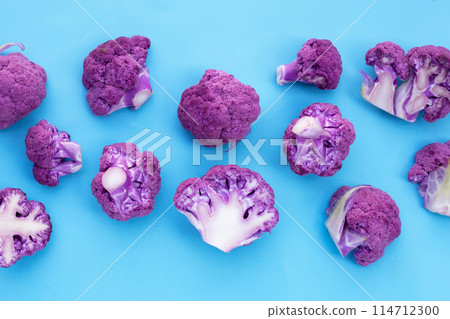 Purple cauliflower on blue background. 114712300