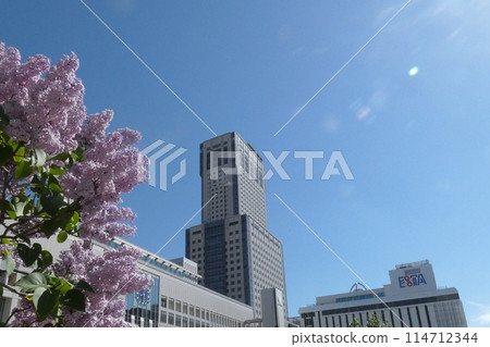 Sapporo Lilac Festival 114712344