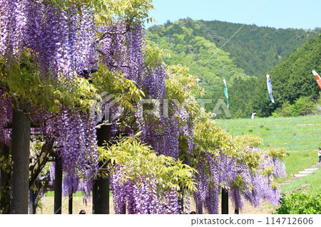 Shiroi Omachi Fuji Park Shiroi Omachi Fuji Park 114712606