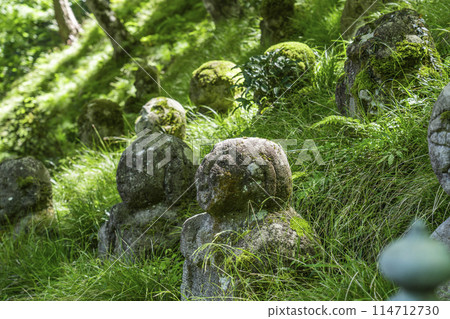 新綠京都、愛宕念佛寺、表情各異的羅漢像 114712730