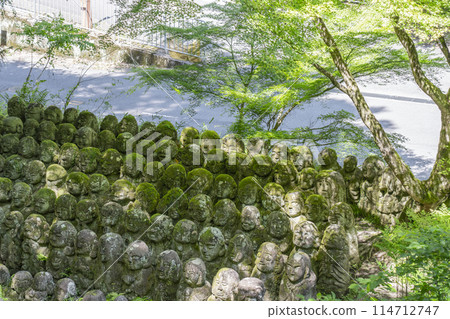 Kyoto's fresh greenery: Atagi Nenbutsu-ji Temple, arhat statues with various expressions 114712747