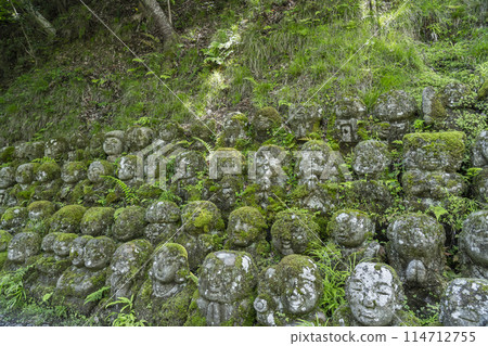 新綠京都、愛宕念佛寺、表情各異的羅漢像 新綠京都、愛宕念佛寺、表情各異的羅漢像 114712755