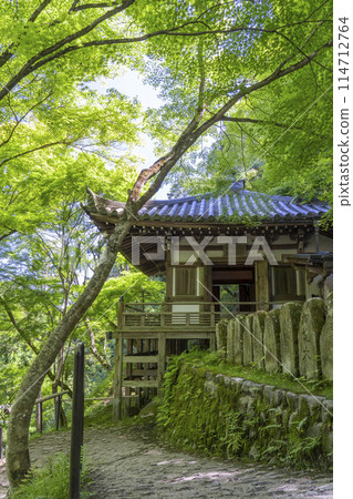 京都新綠、愛宕念佛寺、地藏堂 京都新綠、愛宕念佛寺、地藏堂 114712764